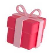 Surprising Gift Service